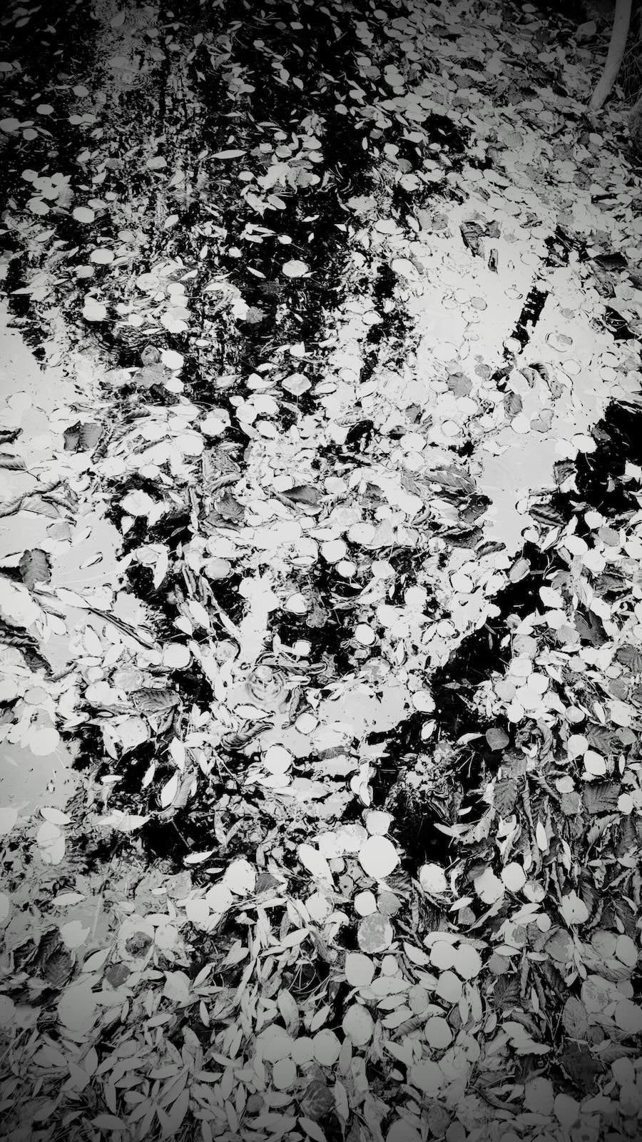 What the Water Holds