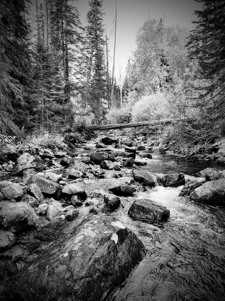 Where the Water Moves