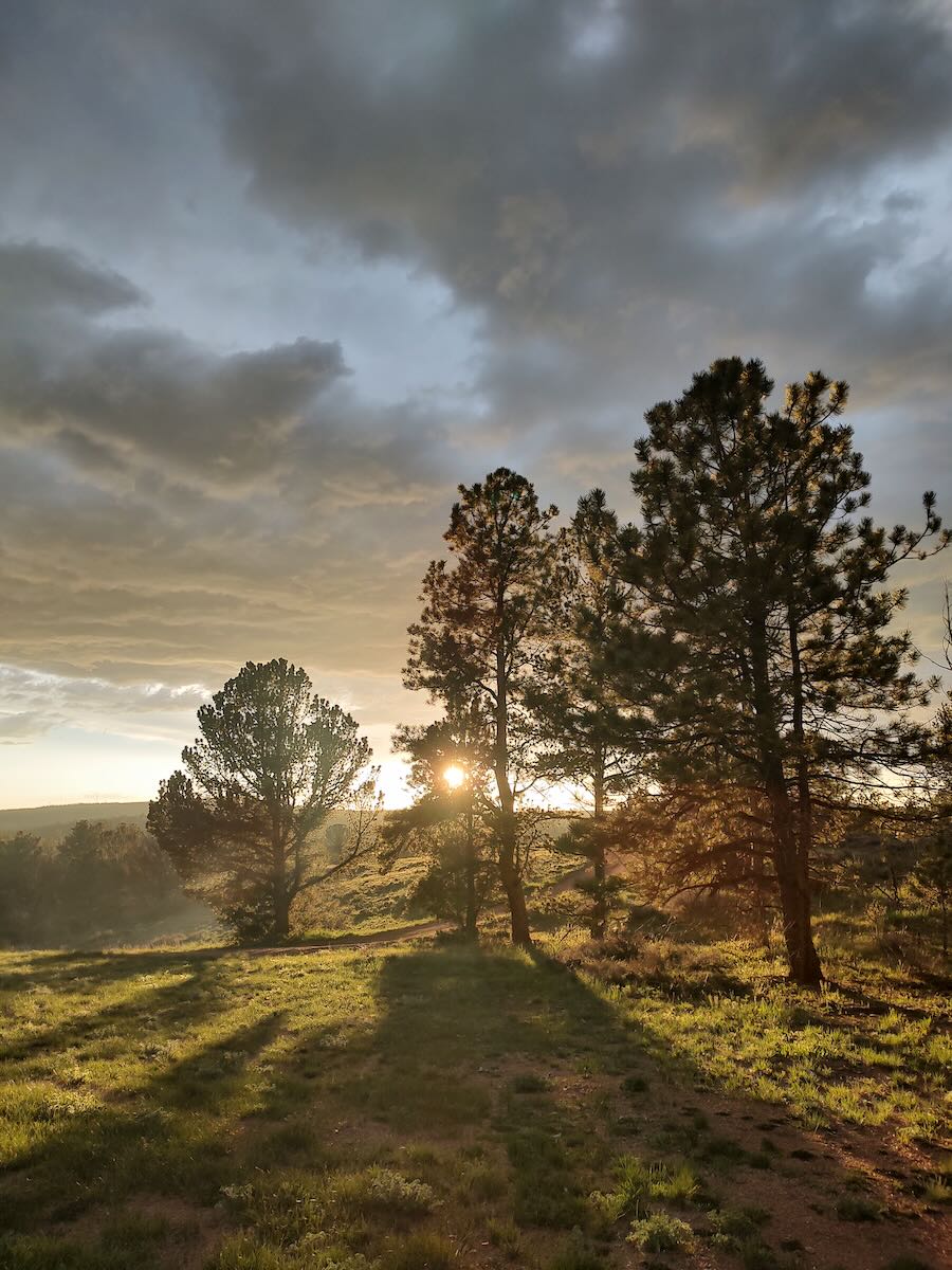 When the Light Finds You