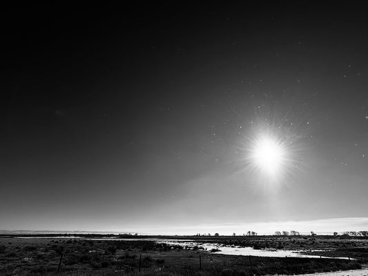 Where the Light Holds