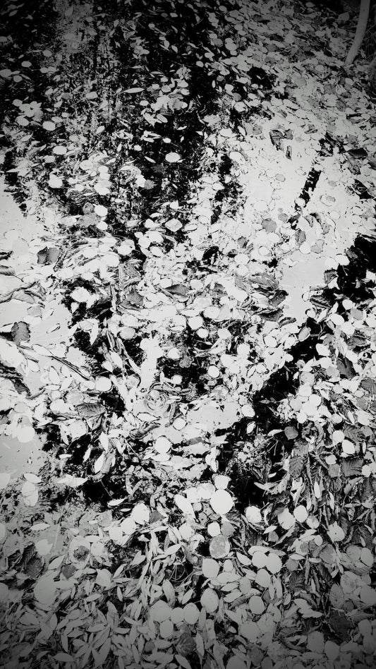 What the Water Holds