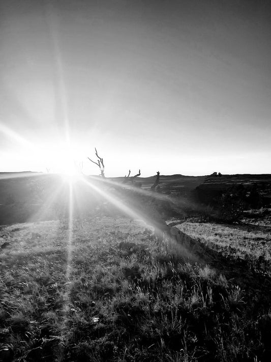 Where the Light Breaks